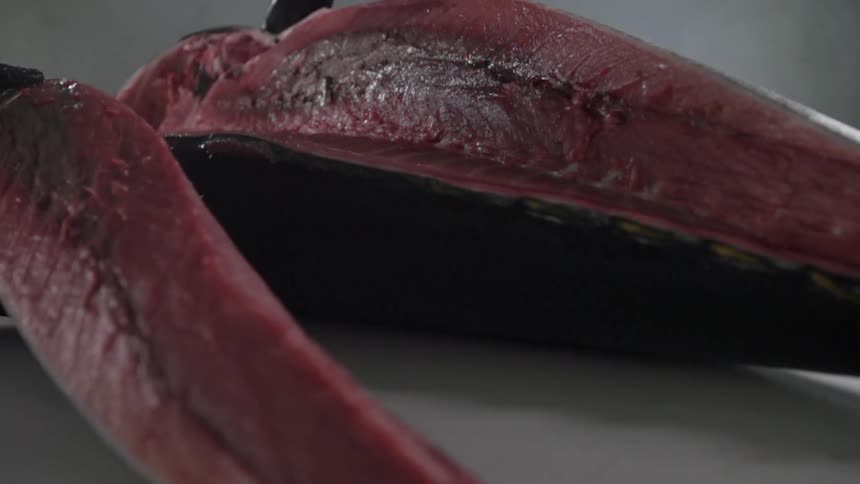Tuna Fish