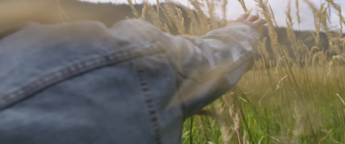 A man touches the tall grass as he passes