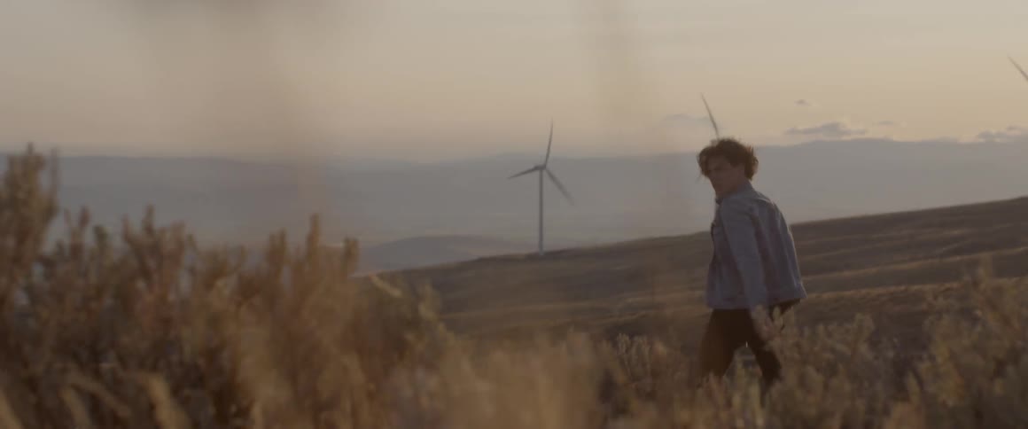 Man walks in a field near the wind turbines