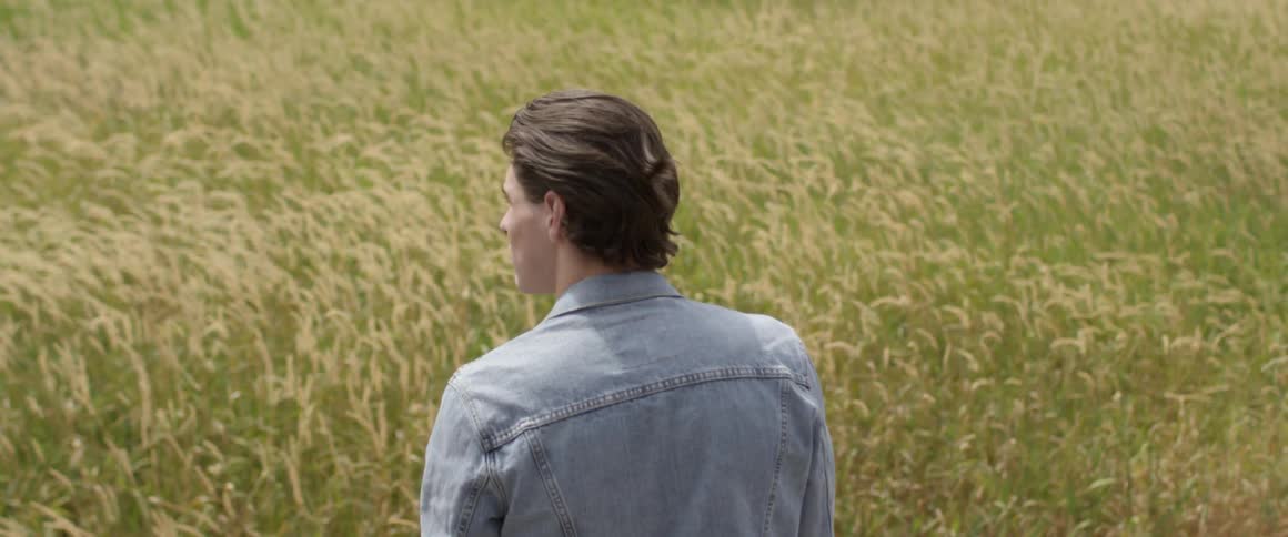 A man stands in a field of blowing grass