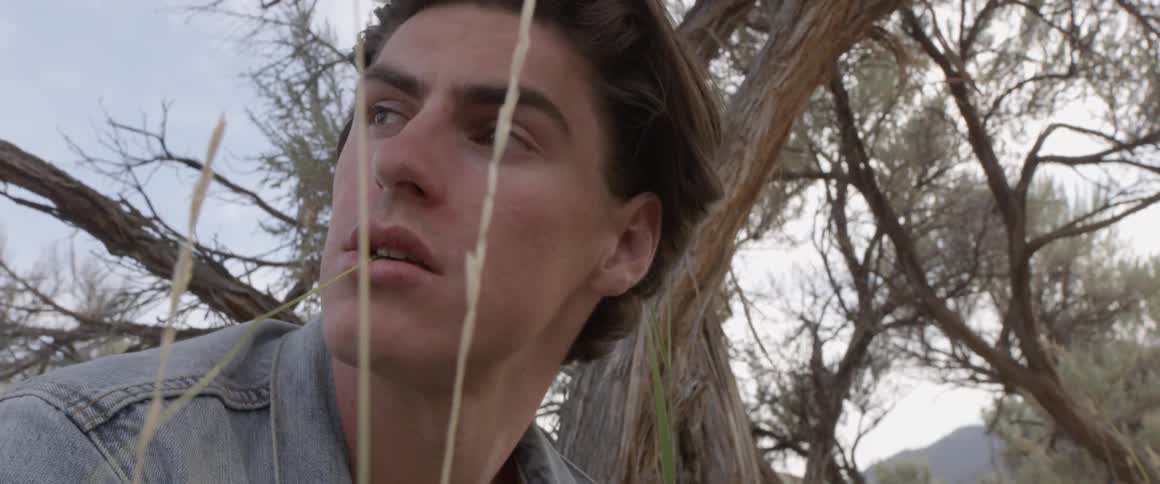 Man puts a weed in his mouth as he sits near a tree in a field