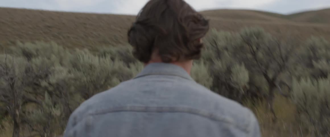 Man walks through bushes near hills