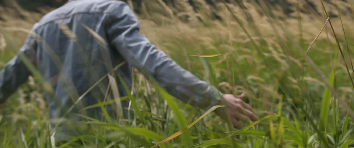 A man wades through the tall grass