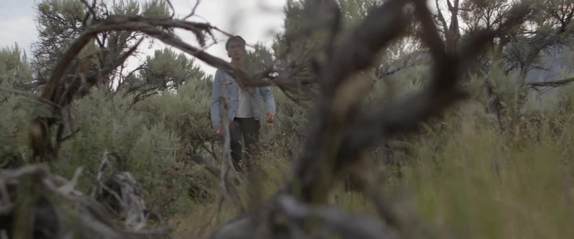 A man hikes through vegetation in a rural area