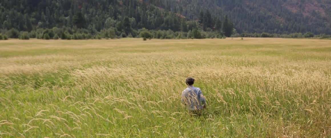 A man walks through tall grass in a rural field