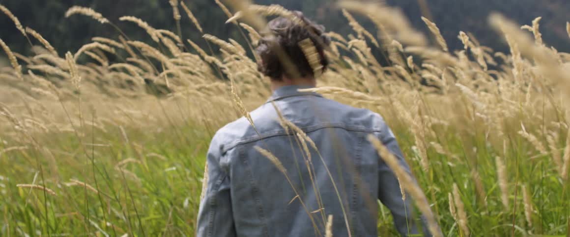 Man is touching the tall weeds in field on sunny day in the wilderness