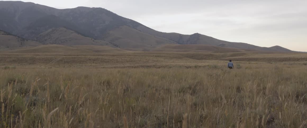 Person walks in a field of tall weeds towards hills