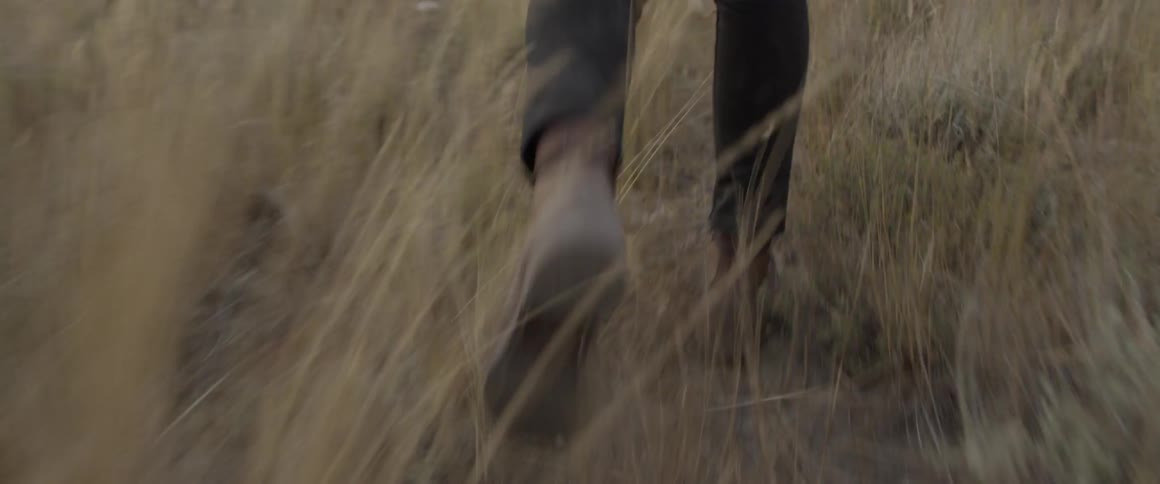 The person walks through the tall yellow grass