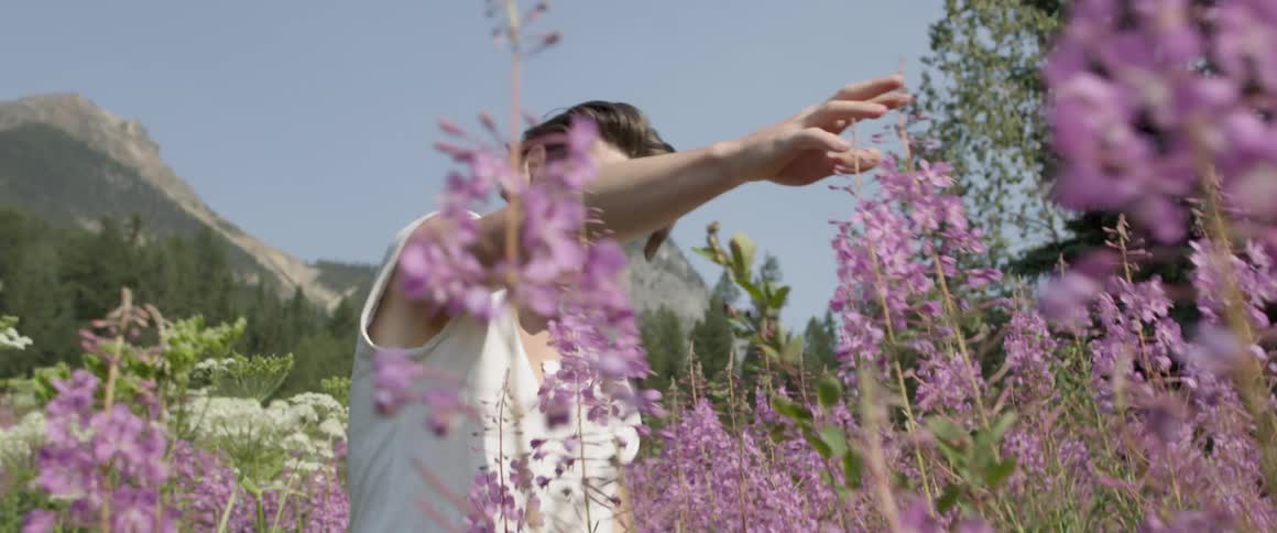 A man reaches out to touch purple wildflowers on a sunny day
