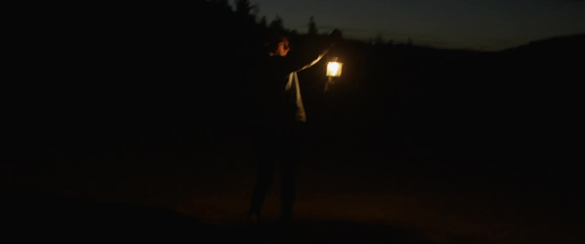 A person is searching the field at dawn with a lantern