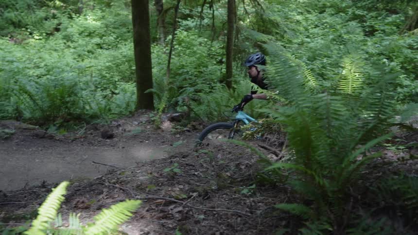 A man rides a bicycle through the woods