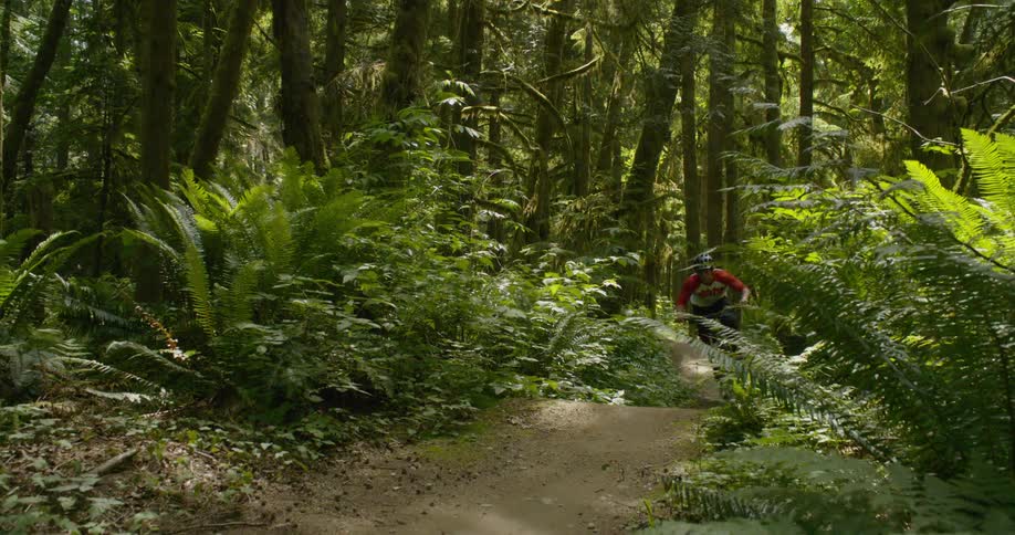 A bicyclist goes over a jump in a forest