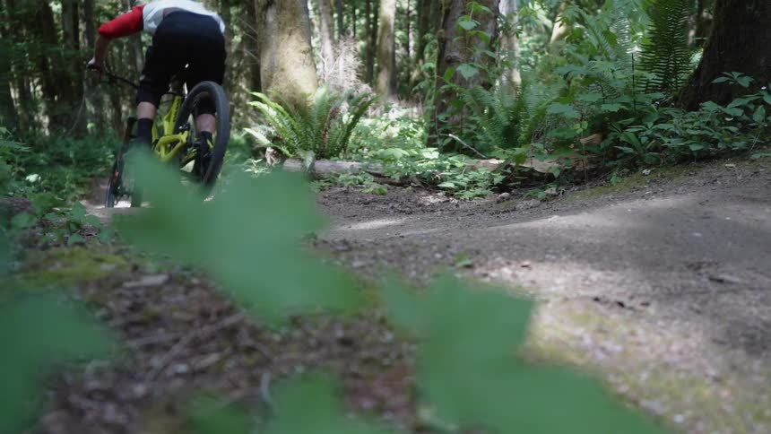 A man is riding a mountain bike on a dirt trail through a forest in daylight