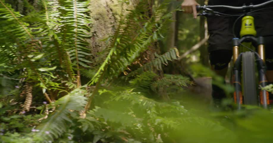 Man pedals a bike through the forest