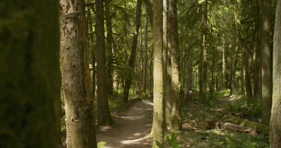 Mountain Biking