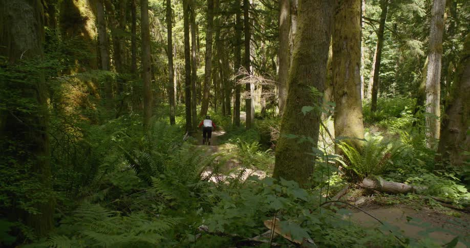 A man rides a bicycle through the woods