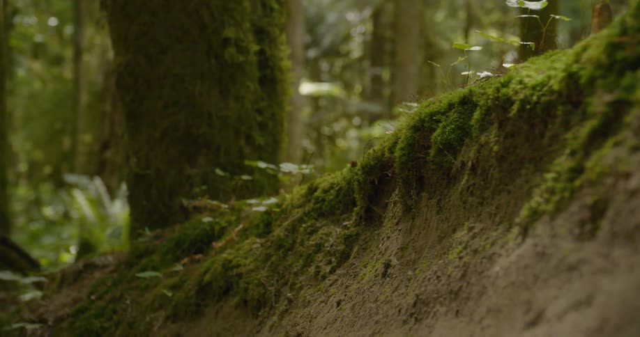 Mountain Biking