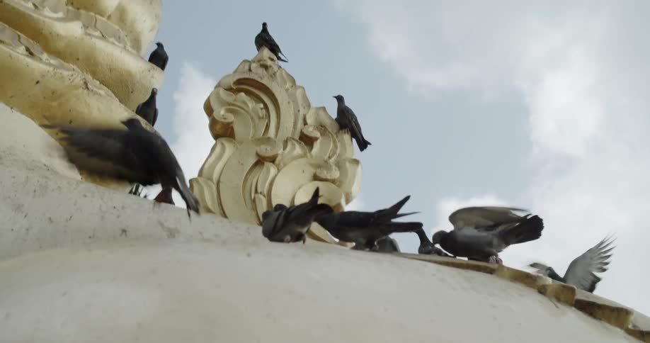 Pigeons walk around on a large statue outside