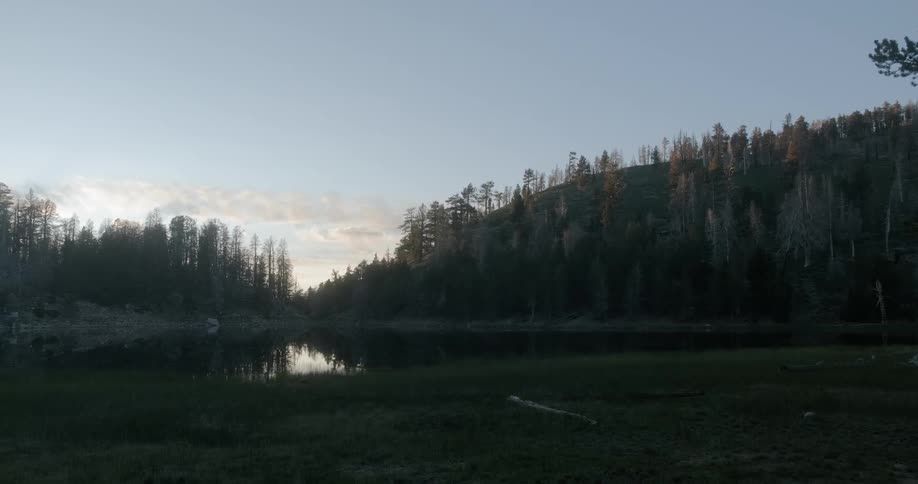 Small lake in forest after sunset