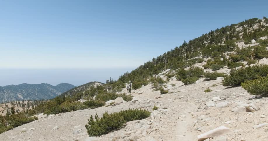 Hikers climb up a shrubby hillside