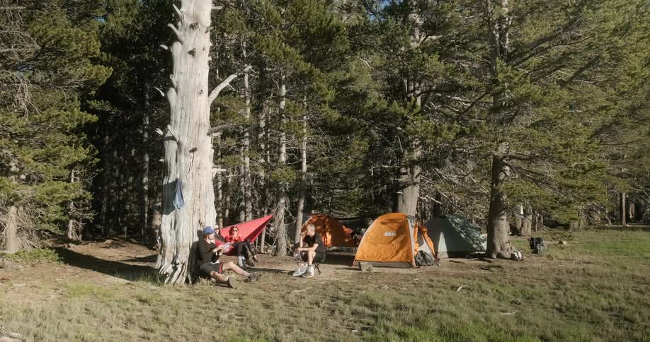 Group of people sit near the trees and tents on a sunny day