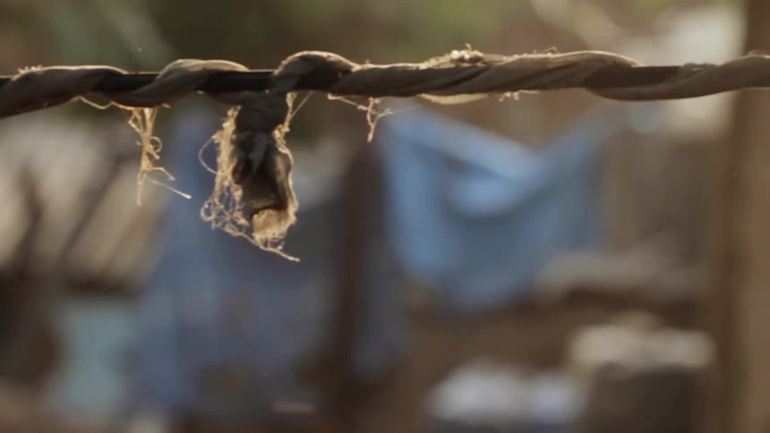 A rope clothesline near a wood pile and hut