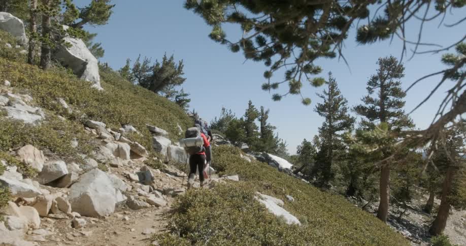 Friends On A Backpacking Trip