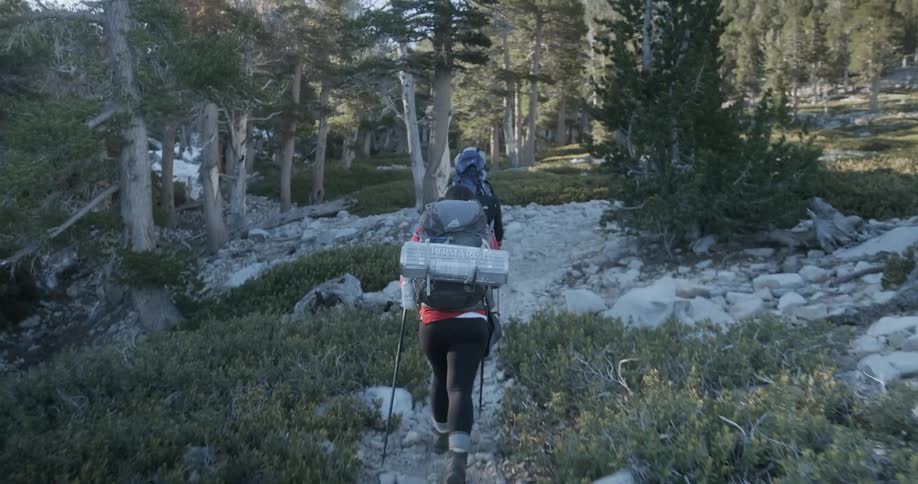 People are hiking on trail in forest wilderness