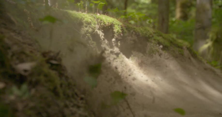 A bike tire kicks up dirt in the woods