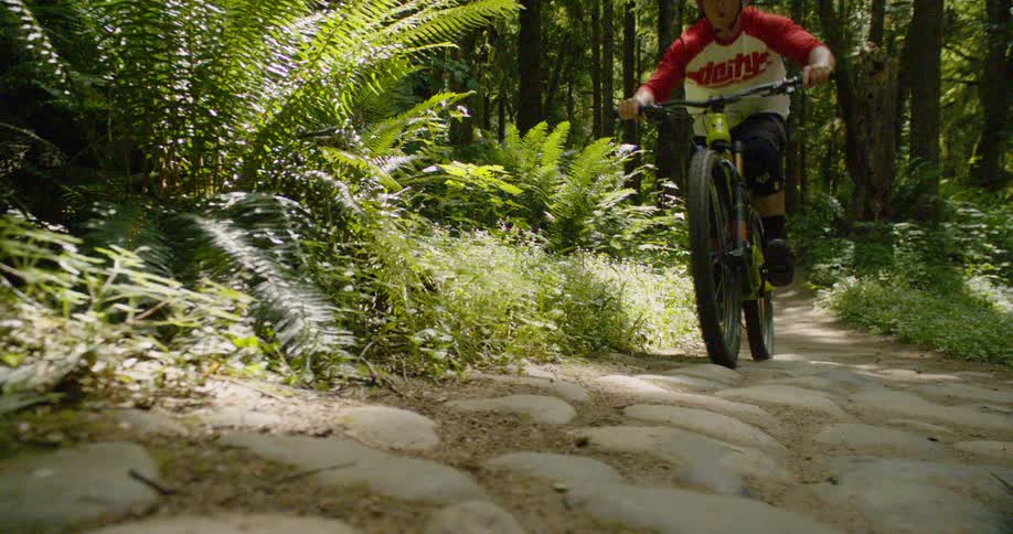 Man rides a bicycle over a path in the forest