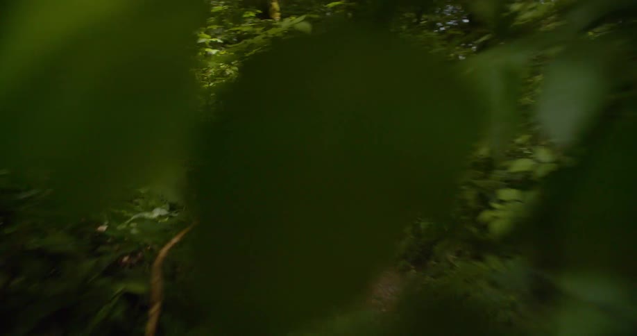 The man rides his bicycle on the small trail