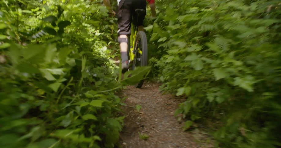Mountain Biking