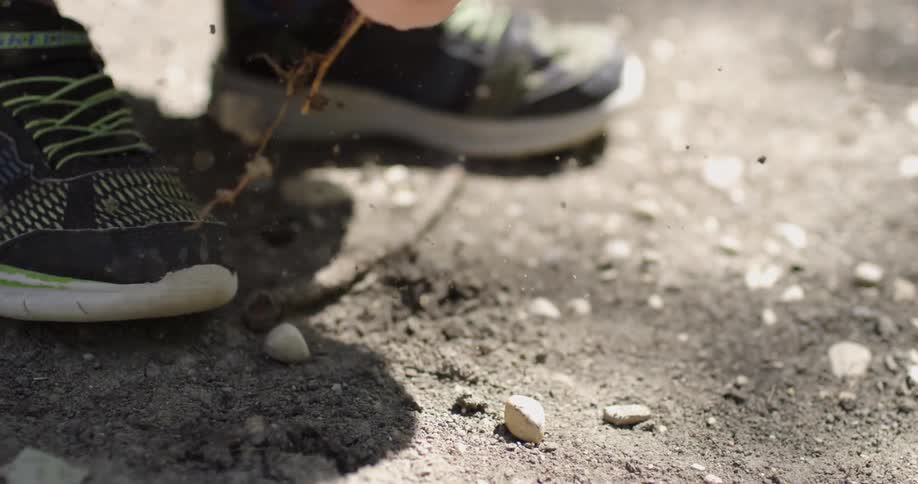 A boy is pulling a root out of the dirt outside in daylight