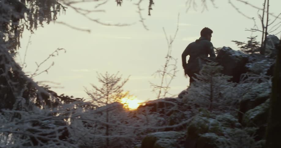 Man Jogging In Woods