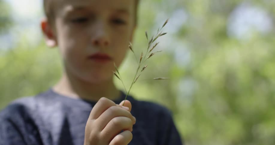 Child holds a weed spinning it in his hand
