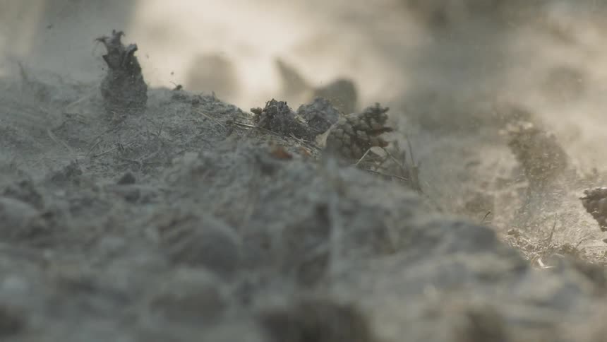 Dirt is rustled into the air