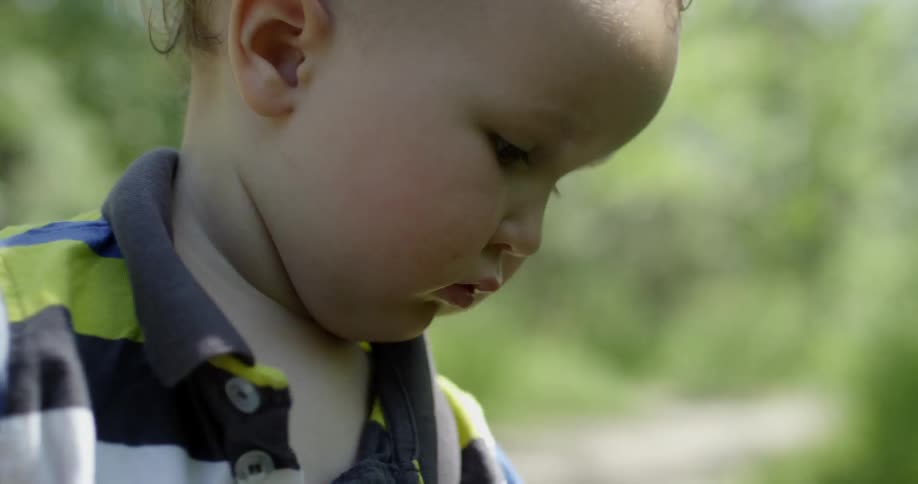 Young child picks a flower while outdoors