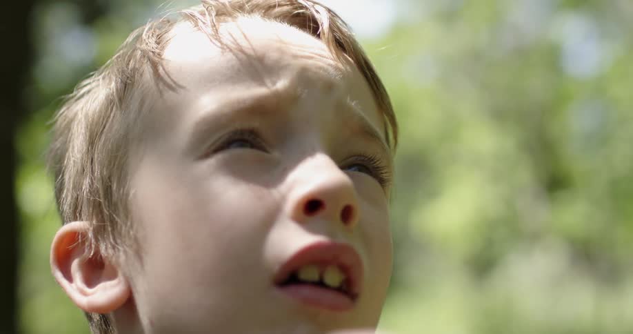 A boy stands near trees on a sunny day