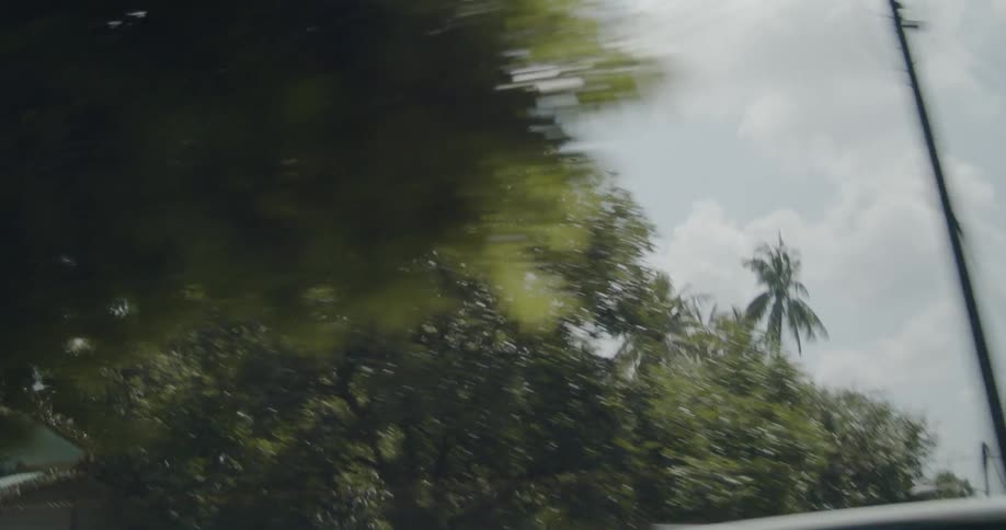 The vehicles move along the road under the power lines