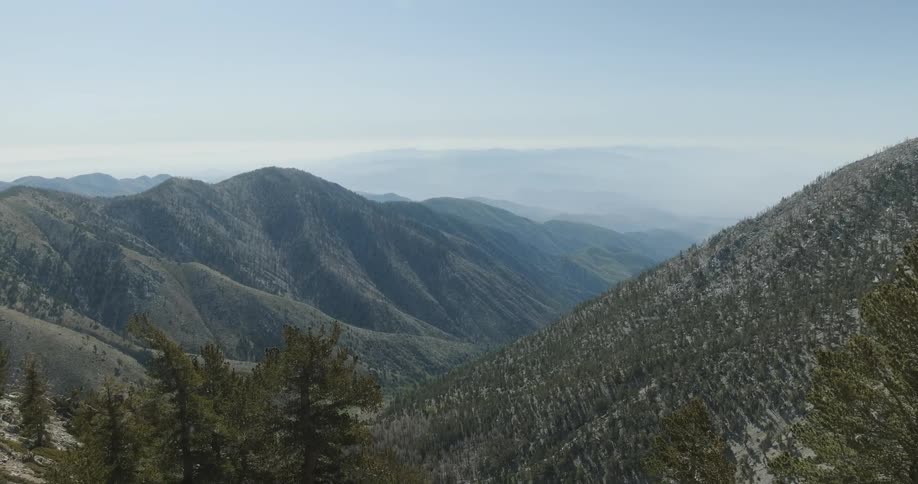 Tree covered hills partially covered by fog