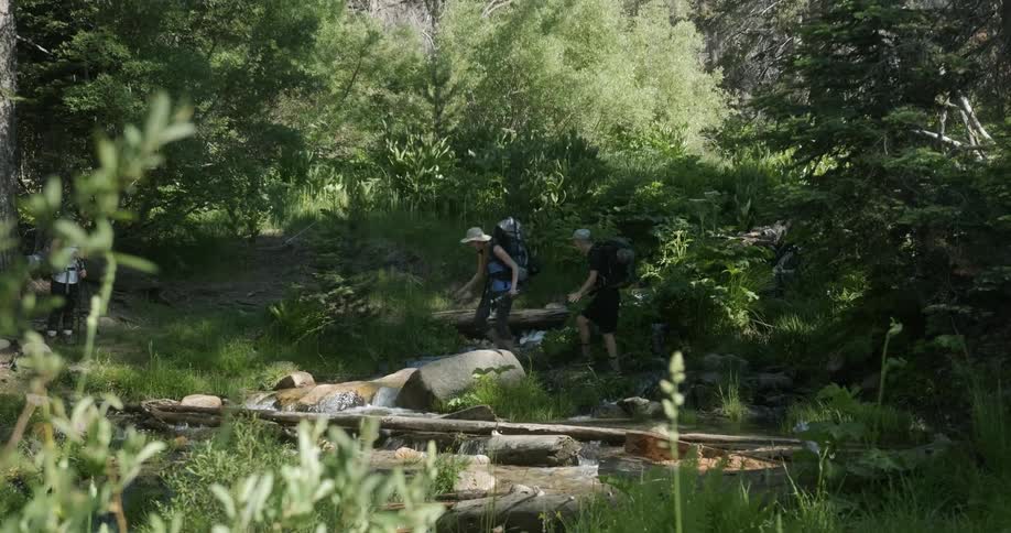 People are hiking with backpacks along river in forest