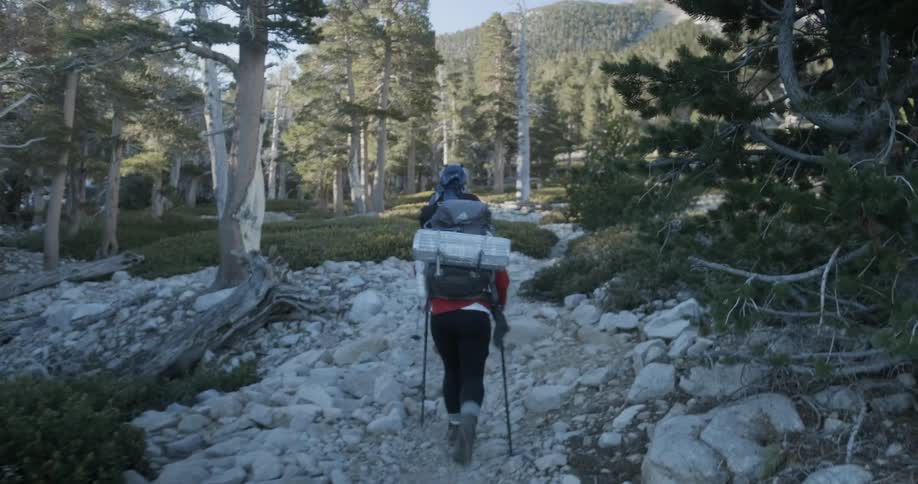 Two people are hiking uphill on a sunny day