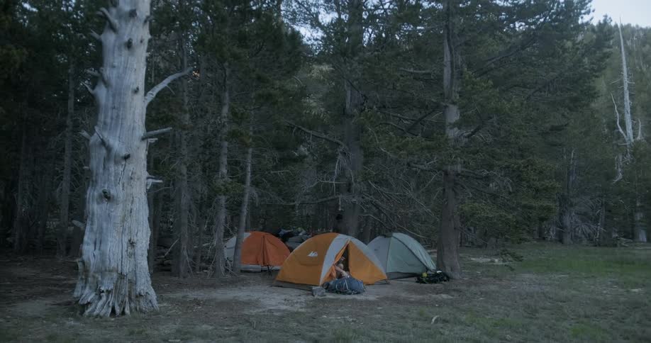 Campers gather together in the woods
