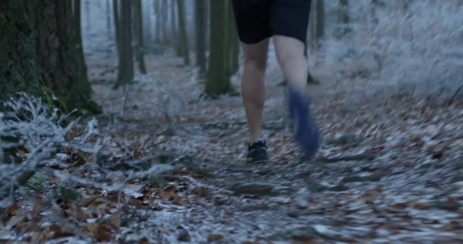 A man jogs through the woods