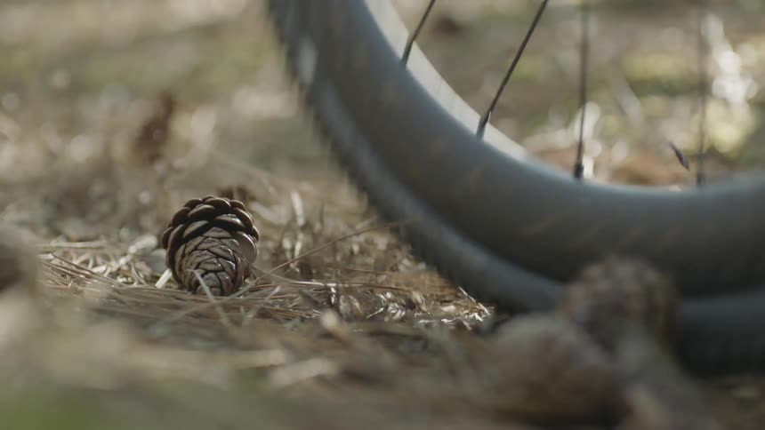 A bike rides through pine cones on the ground