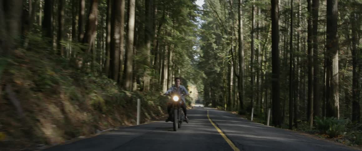 A motorcyclist rides in a forest