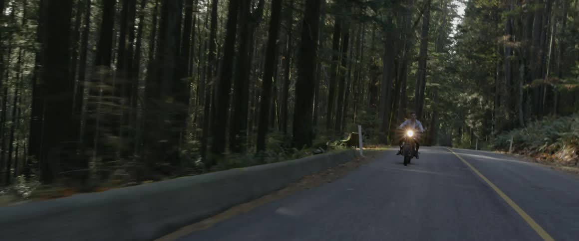 Motorcycle travels down the road near the forest
