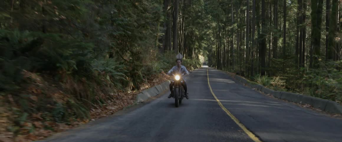 A man rides a motorcycle on a woodsy road