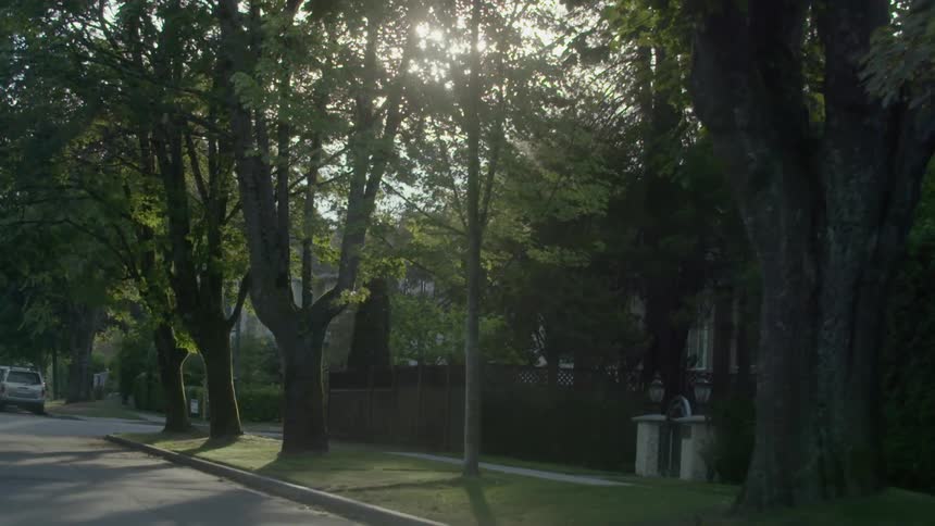 A quiet neighborhood street in the morning