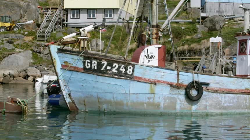 A boat floats in a marina